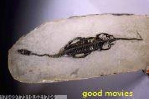 喜羊羊与灰太狼飞马奇遇记动画电影情节深度解析