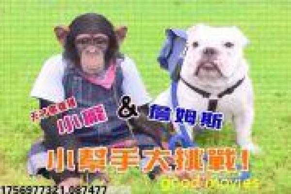 《风之刀》剧情讲解|古装武侠故事与幕后揭秘