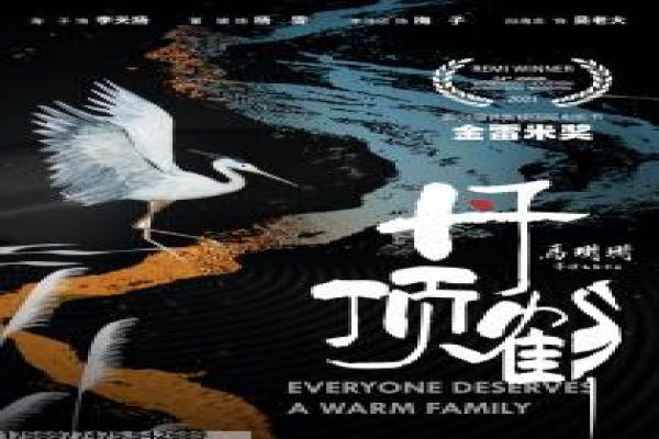 《绝密543》故事简介分析,543绝密的使命军事与保密英雄深度