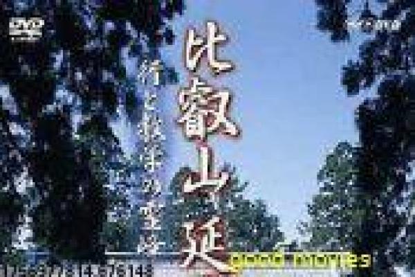 《娘要嫁人》剧情深度详解,单亲母亲的婚姻追求与家庭温情故事