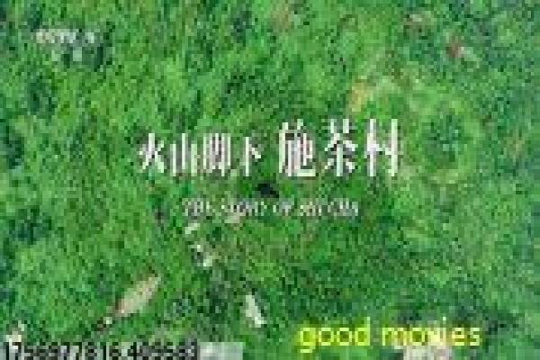 《心火》1997版深度解析,欲望与复仇交织的罪恶故事