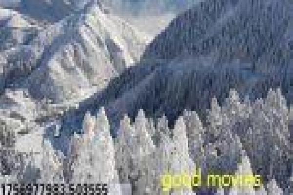 《新济公活佛》剧情讲解——轻喜剧风格下的善恶故事演绎