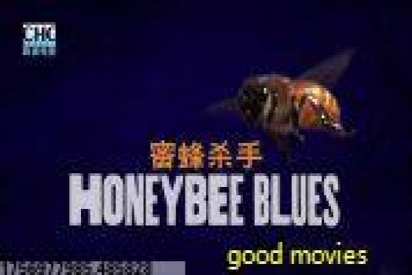 《我的前半生》剧情讲解|人物关系走向与幕后揭秘