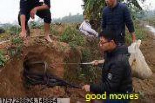《星际迷航》系列全解析——剧情脉络与幕后揭秘