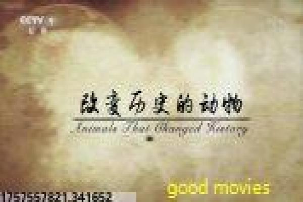 《吓死宝宝了》宝宝吓死影片详细解析及搞笑