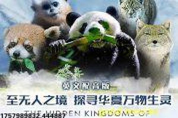 《二见钟情》影片拍摄故事,二见钟情爱情的幕后记录