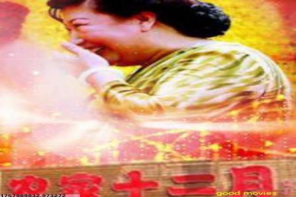《我家师傅没有尾巴》影片拍摄故事,我家师