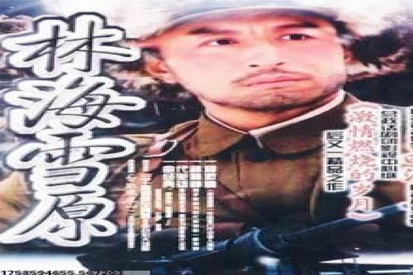 《再遇两个他》影片解析,再遇两个他爱情的