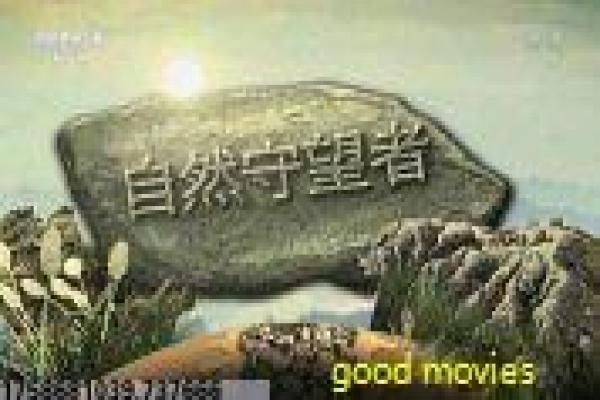 《青春月谭》影片解析,青春月谭古装的爱情