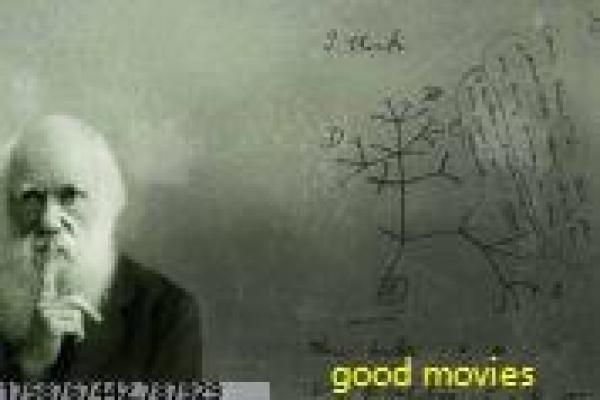 《恐怖游泳馆》恐怖游泳馆的灵异故事情节解