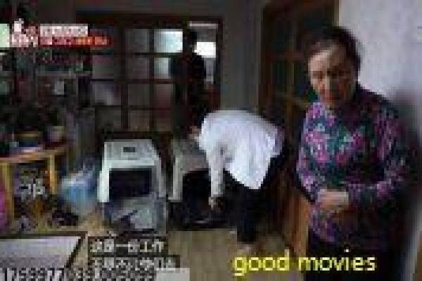 《大叔局特工第四季》老牌特工再度出山的惊心谍战故事