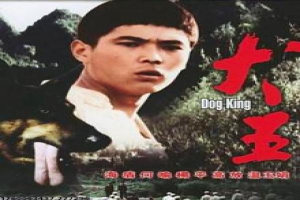 血与骨在线观看-血与骨在线格斗,在线观看电影详细拍摄故事揭秘监狱拳王的热血传奇
