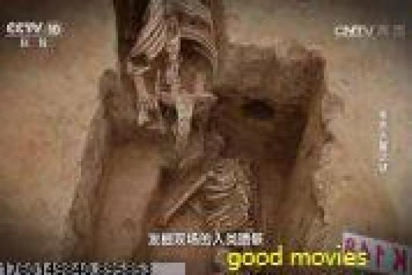 釜山行2完整版-釜山行第二部半岛完整,完整版详细拍摄故事揭秘僵尸废土的绝望求生