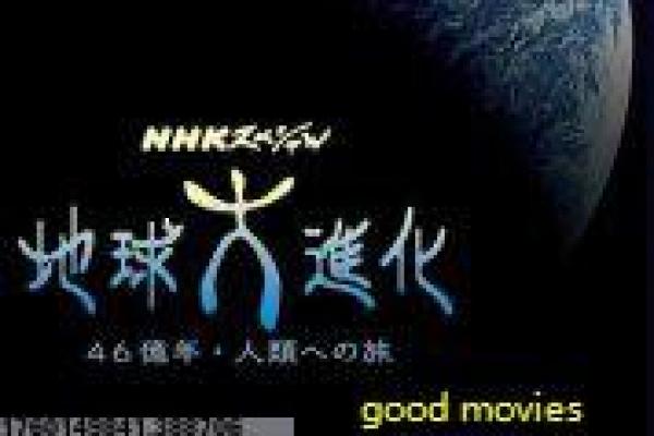 《我是遗物整理师》影片详细,遗物整理师感