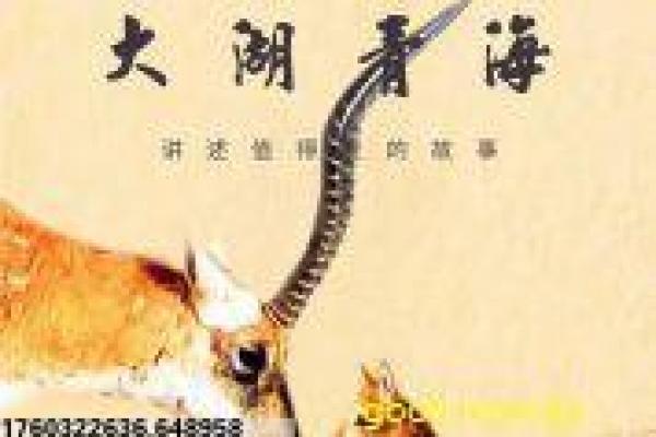 《大演员》解读大演员演员人生的光鲜与落寞