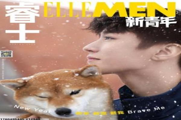 《叶问2宗师传奇》叶问第二部宗师传奇,电