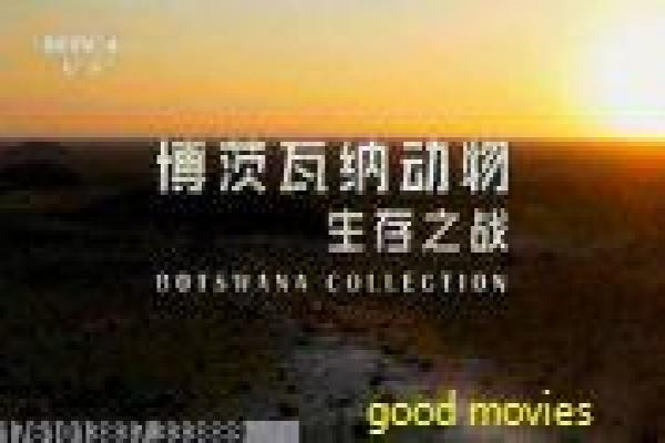 《我和僵尸有个约会3》人鬼恋情的灵异续篇,解析爱情轮回与宿命抗争的香港作品