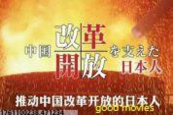 《警界双雄》影视解析详解,双雄警界的搭档