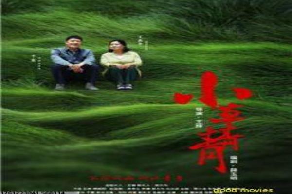 《龙小子拳》龙小子拳的功夫奇遇,剖析香港