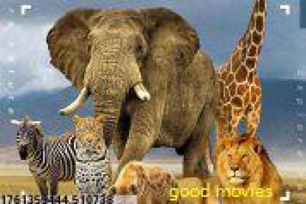 《梦幻书院 第八季》影片详细,梦幻书院续