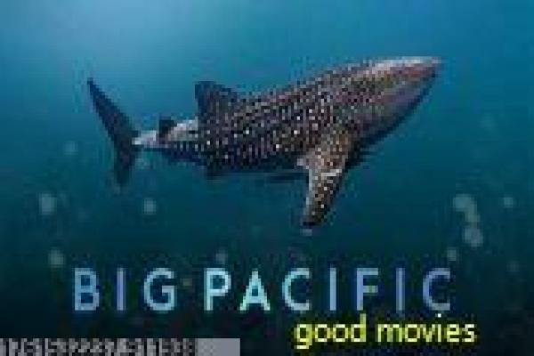 大明王朝1566高清-嘉靖朝权谋斗争高清影片详细,海瑞抗争的热血故事情节深度还原与历史剧拍摄解析