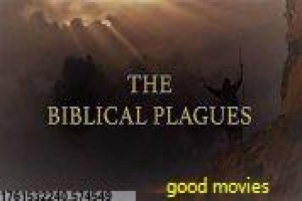 美丽实习生-美丽实习生的职场浪漫,深度解析国产剧的实习与爱情