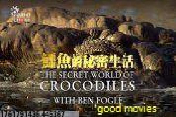 美剧永无止境-永无止境的智商觉醒,详细还原美剧的药物与人性斗争