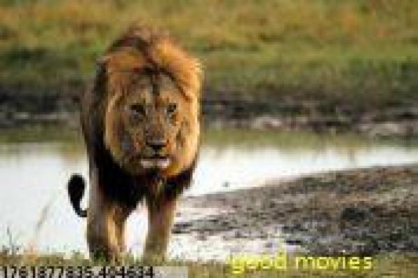 《无需害怕》影片拍摄故事,无需害怕勇气的感人幕后记录