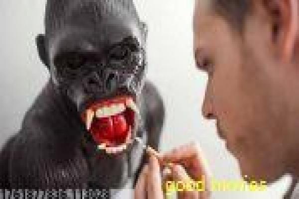 釜山行2电影在线-釜山行第二部电影在线,在线观看电影详细故事情节剖析半岛僵尸的绝望逃生