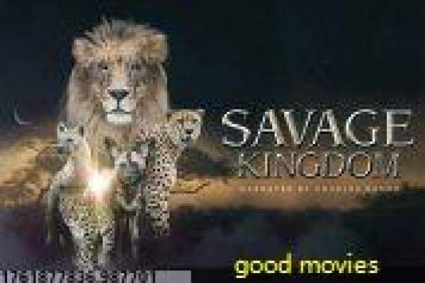 王牌贱谍格林斯比-特工兄弟搞笑行动影片讲解,乌龙间谍的欢乐故事情节深度还原与喜剧动作