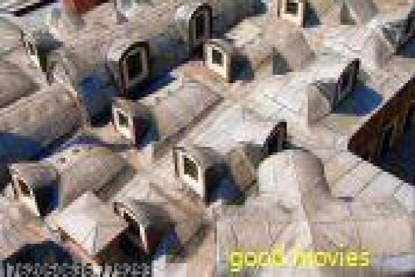 蝴蝶效应电影-蝴蝶效应的时空悖论,深度解析科幻片的命运与选择 蝴蝶效应电影-蝴蝶效应的时空悖论,深度解析科幻片的命运与选择