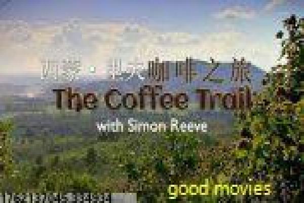 扫毒1版-香港缉毒警匪对决影片讲解,兄弟情义的紧张故事情节深度还原与香港动作拍摄解析