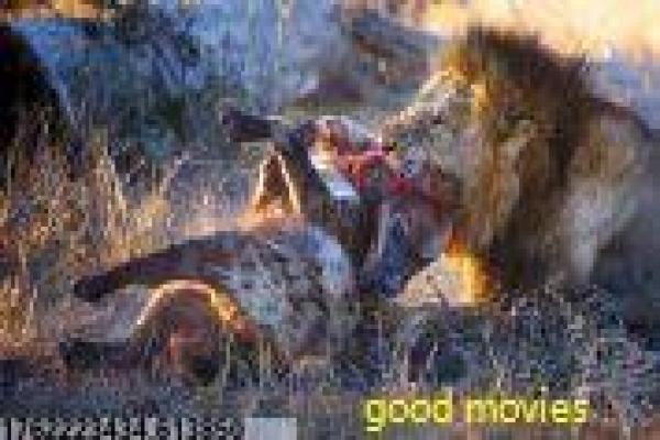 《一路有你》有你一路影片详细解析及温馨旅