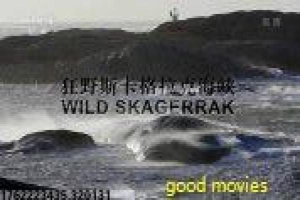 鼠胆龙威免费版-鼠胆龙威免费版阿龙,免费版电影影片简介胆小警探的香港动作喜剧 鼠胆龙威免费版-鼠胆龙威免费版阿龙,免费版电影影片简介胆小警探的香港动作喜剧