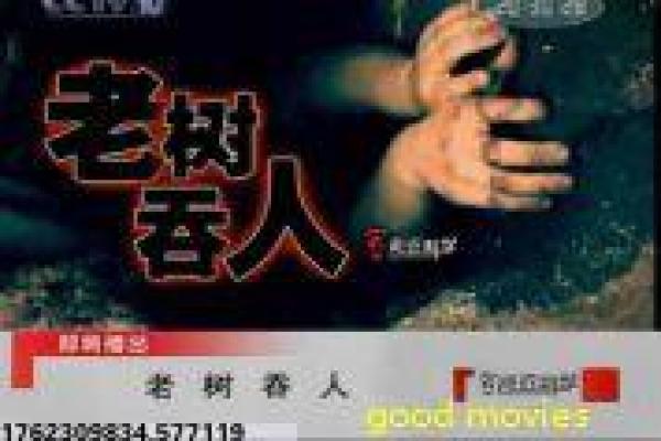 《曼谷保镖》曼谷保镖的搞笑护卫,剖析泰国动作喜剧的保镖与冒险