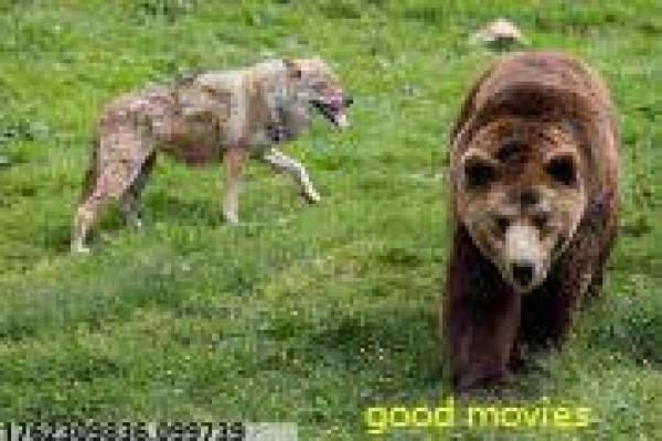 《开往远方的地铁》影片解析,地铁远方开往的都市奇遇剖析