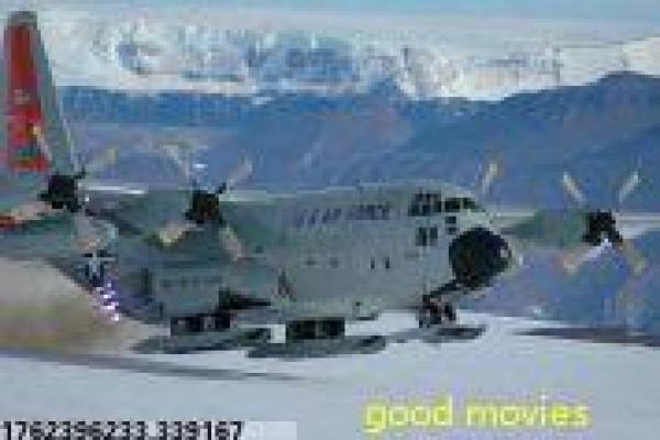 《菜鸟总动员》影片解析,总动员菜鸟成长的职场喜剧剖析