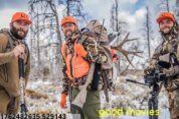 灵魂摆渡2免费-灵魂摆渡第二季鬼门关,免费版解析王小浪续战厉鬼的都市玄幻喜剧